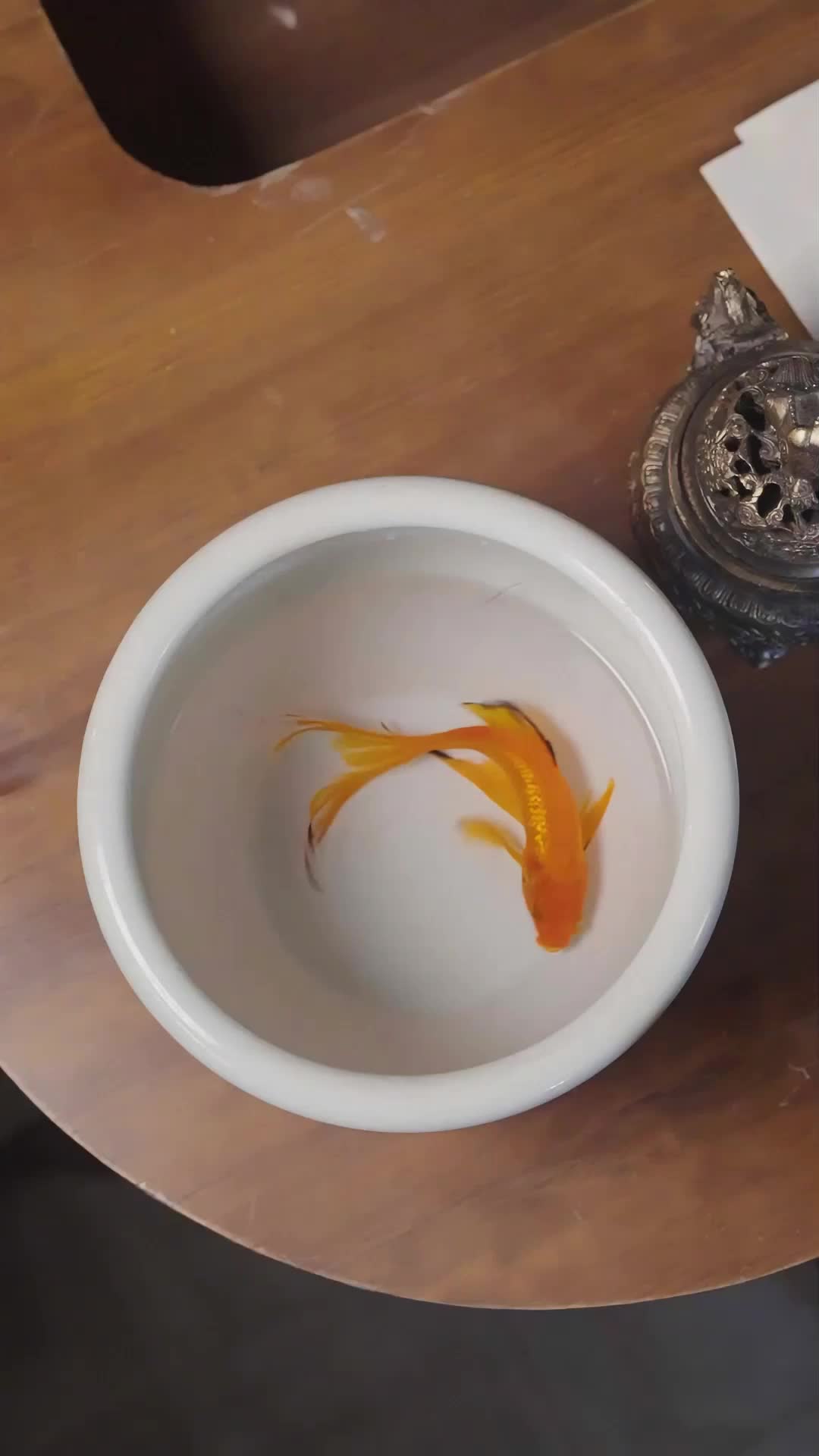 الحلقة 22 - أنا السيد الذي لا نظير له